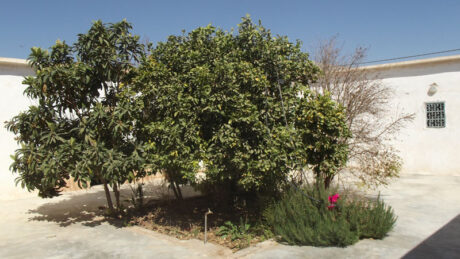 https://www.immotaroudant.com/bien/joli-maison-village-taroudant-m13504/