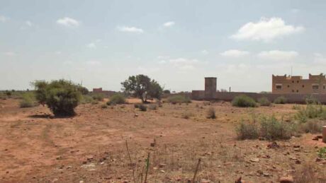 https://www.immotaroudant.com/bien/vente-terrain-a-taroudant-t12374/