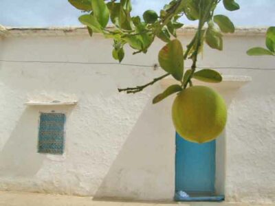 https://www.immotaroudant.com/bien/maison-taroudant-a-vendre-m13996/