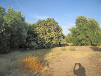 https://www.immotaroudant.com/bien/ferme-taroudant-a-vendre-f12404/
