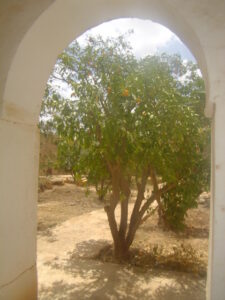 https://www.immotaroudant.com/bien/riad-taroudant-r13015/