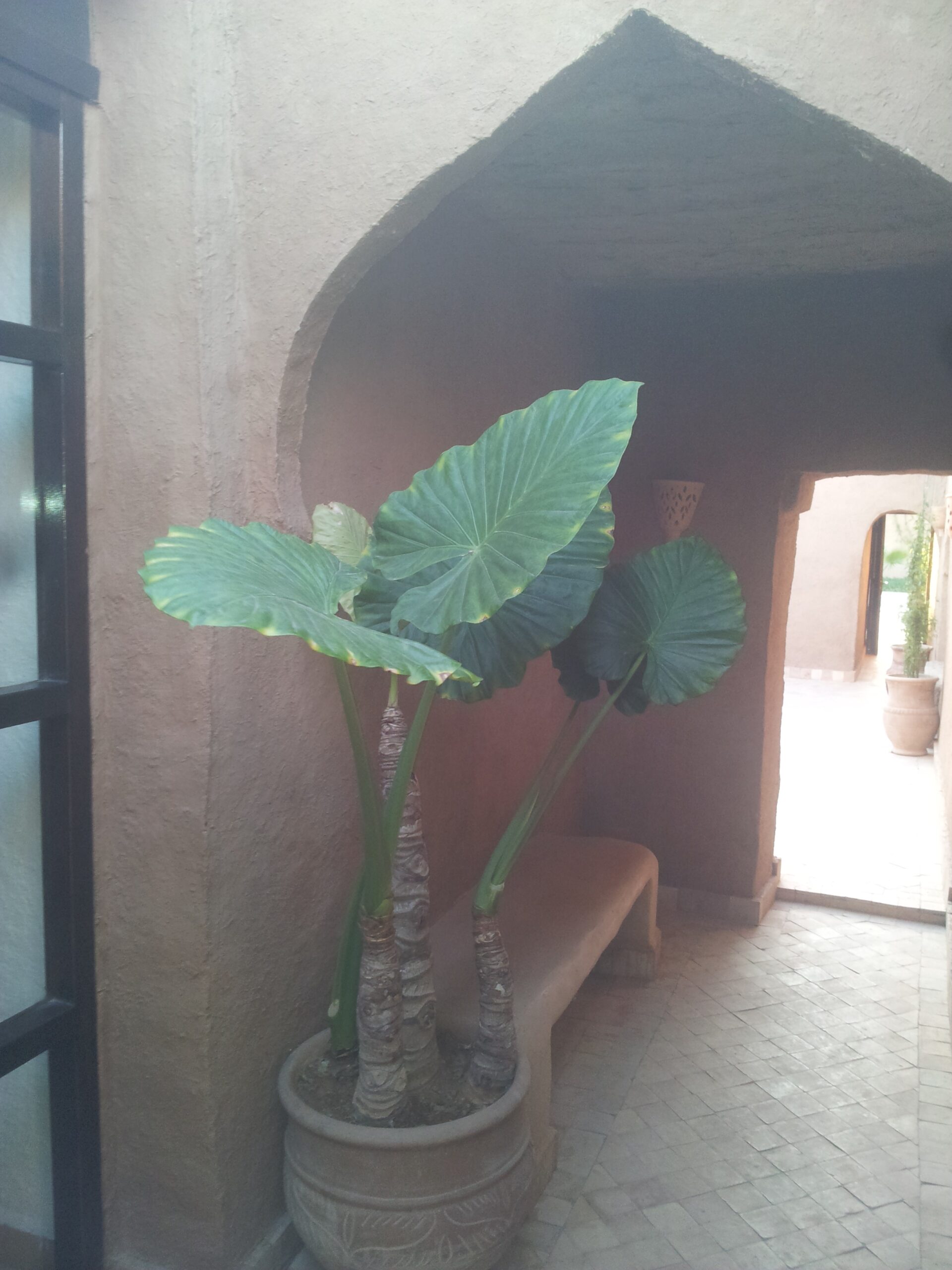 vente Riad à Taroudant