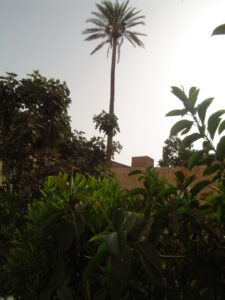 https://www.immotaroudant.com/bien/riad-taroudant-r13031/
