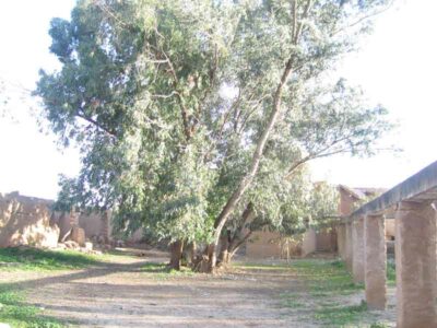 https://www.immotaroudant.com/bien/riad-a-vendre-a-taroudant-maroc-r13732/