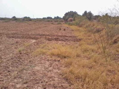 https://www.immotaroudant.com/bien/vente-terrain-taroudant-t13873/