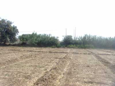 https://www.immotaroudant.com/bien/vente-terrain-taroudant-t13878/
