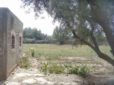 https://www.immotaroudant.com/bien/vente-terrain-taroudant-t13881/