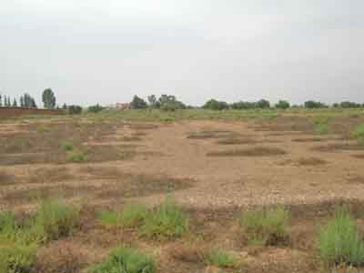 https://www.immotaroudant.com/bien/vente-terrain-a-taroudant-t13886/