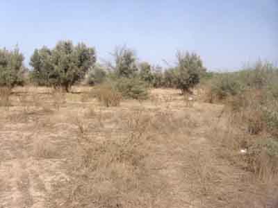 https://www.immotaroudant.com/bien/vente-terrain-taroudant-t13891/