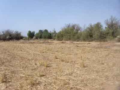 https://www.immotaroudant.com/bien/vente-terrain-taroudant-t13892/