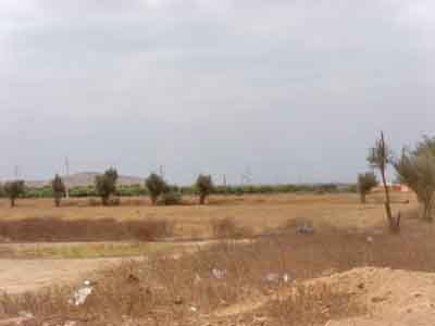 https://www.immotaroudant.com/bien/vente-terrain-taroudant-t13893/