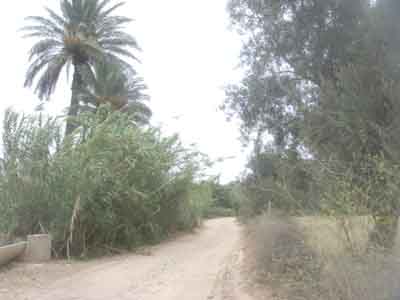 https://www.immotaroudant.com/bien/vente-terrain-taroudant-t13905/