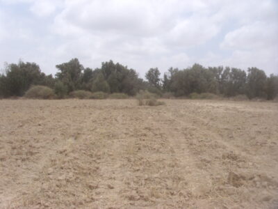 https://www.immotaroudant.com/bien/vente-terrain-taroudant-t13908/