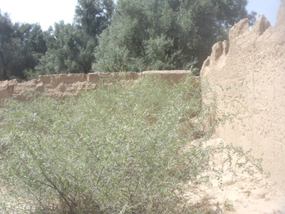 https://www.immotaroudant.com/bien/vente-terrain-taroudant-t13909/
