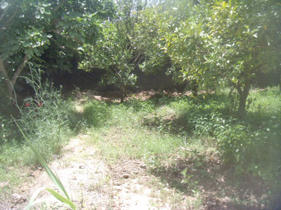 https://www.immotaroudant.com/bien/vente-terrain-taroudant-t13911/
