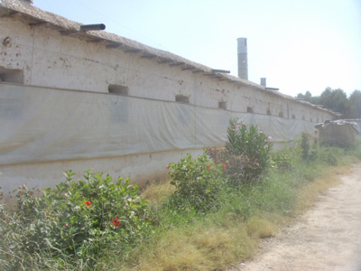 https://www.immotaroudant.com/bien/vente-terrain-taroudant-t13913/