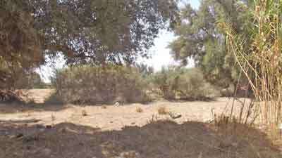 https://www.immotaroudant.com/bien/vente-terrain-taroudant-t13917/