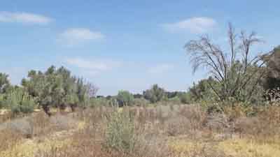 https://www.immotaroudant.com/bien/vente-terrain-taroudant-t13918/