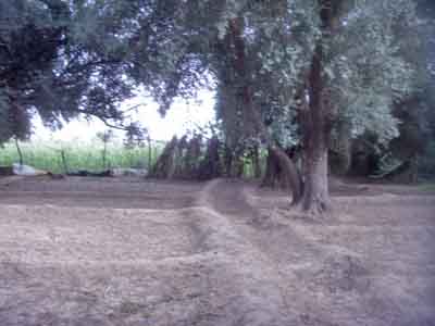 https://www.immotaroudant.com/bien/vente-terrain-taroudant-t13922/
