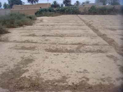 https://www.immotaroudant.com/bien/vente-terrain-taroudant-t13925/