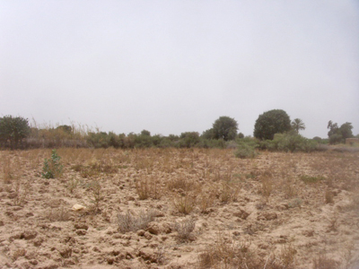 https://www.immotaroudant.com/bien/vente-terrain-taroudant-t13934/