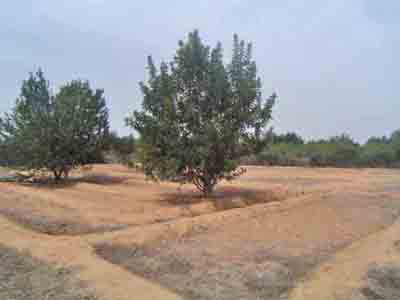 https://www.immotaroudant.com/bien/vente-terrain-taroudant-t14000/
