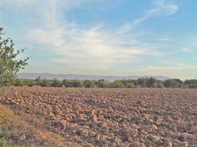 https://www.immotaroudant.com/bien/vente-terrain-a-taroudant-t14004/