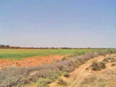 https://www.immotaroudant.com/bien/vente-terrain-a-taroudant-t14021/