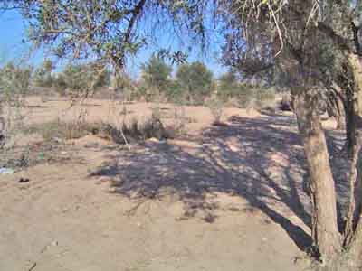 https://www.immotaroudant.com/bien/vente-terrain-taroudant-t14030/