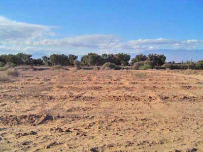 https://www.immotaroudant.com/bien/vente-terrain-a-taroudant-t14035/