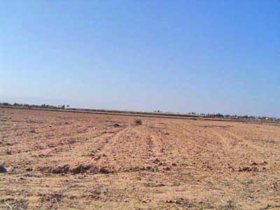 https://www.immotaroudant.com/bien/vente-terrain-taroudant-t14040/
