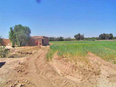 https://www.immotaroudant.com/bien/vente-terrain-taroudant-t14046/