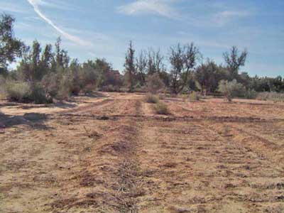 https://www.immotaroudant.com/bien/vente-terrain-a-taroudant-t14055/