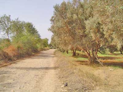 https://www.immotaroudant.com/bien/vente-terrain-a-taroudant-t14058/