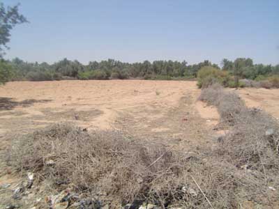 https://www.immotaroudant.com/bien/vente-terrain-taroudant-t14063/
