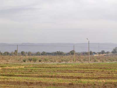 https://www.immotaroudant.com/bien/vente-terrain-a-taroudant-t14108/