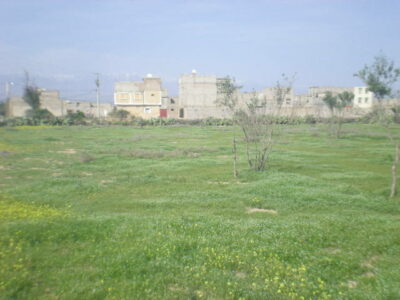 https://www.immotaroudant.com/bien/terrain-a-vendre-a-taroudant-maroc-t14182/