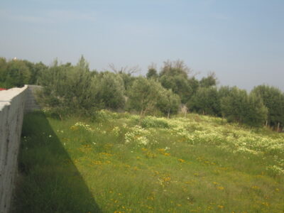 https://www.immotaroudant.com/bien/vente-spacieuse-terrain-a-taroudant-t12576/