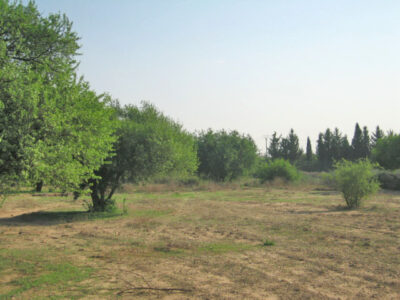 https://www.immotaroudant.com/bien/vente-terrain-a-taroudant-t12424/