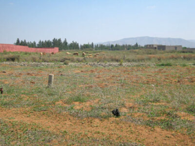 https://www.immotaroudant.com/bien/vente-terrain-a-taroudant-t12425/
