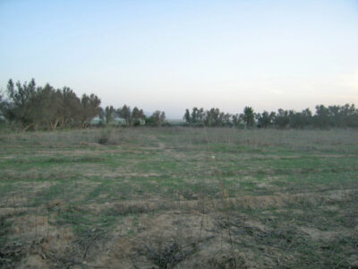 https://www.immotaroudant.com/bien/vente-terrain-a-taroudant-t12429/