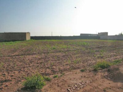 https://www.immotaroudant.com/bien/vente-terrain-a-taroudant-t12574/