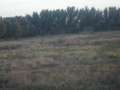 https://www.immotaroudant.com/bien/vente-terrain-a-taroudant-t12520/