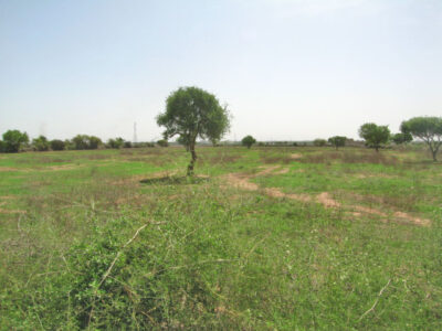 https://www.immotaroudant.com/bien/vente-terrain-a-taroudant-t12413/
