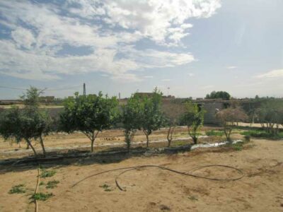 https://www.immotaroudant.com/bien/vente-terrain-a-taroudant-t12464/