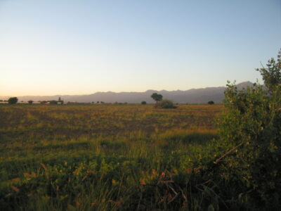 https://www.immotaroudant.com/bien/vente-terrain-a-taroudant-t12467/
