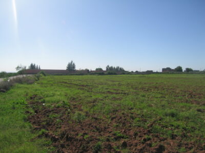 https://www.immotaroudant.com/bien/vente-terrain-a-taroudant-t12470/