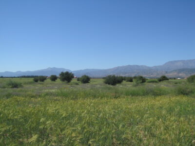 https://www.immotaroudant.com/bien/vente-terrain-a-taroudant-t12572/