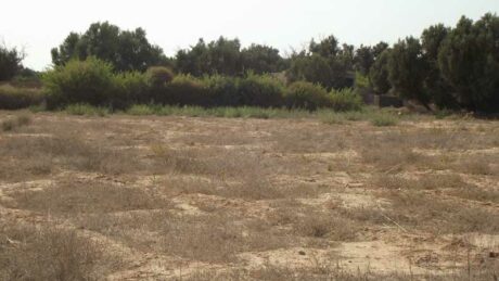 https://www.immotaroudant.com/bien/vente-terrain-a-taroudant-t12487/