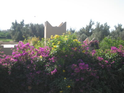 https://www.immotaroudant.com/bien/vente-terrain-a-taroudant-t12491/